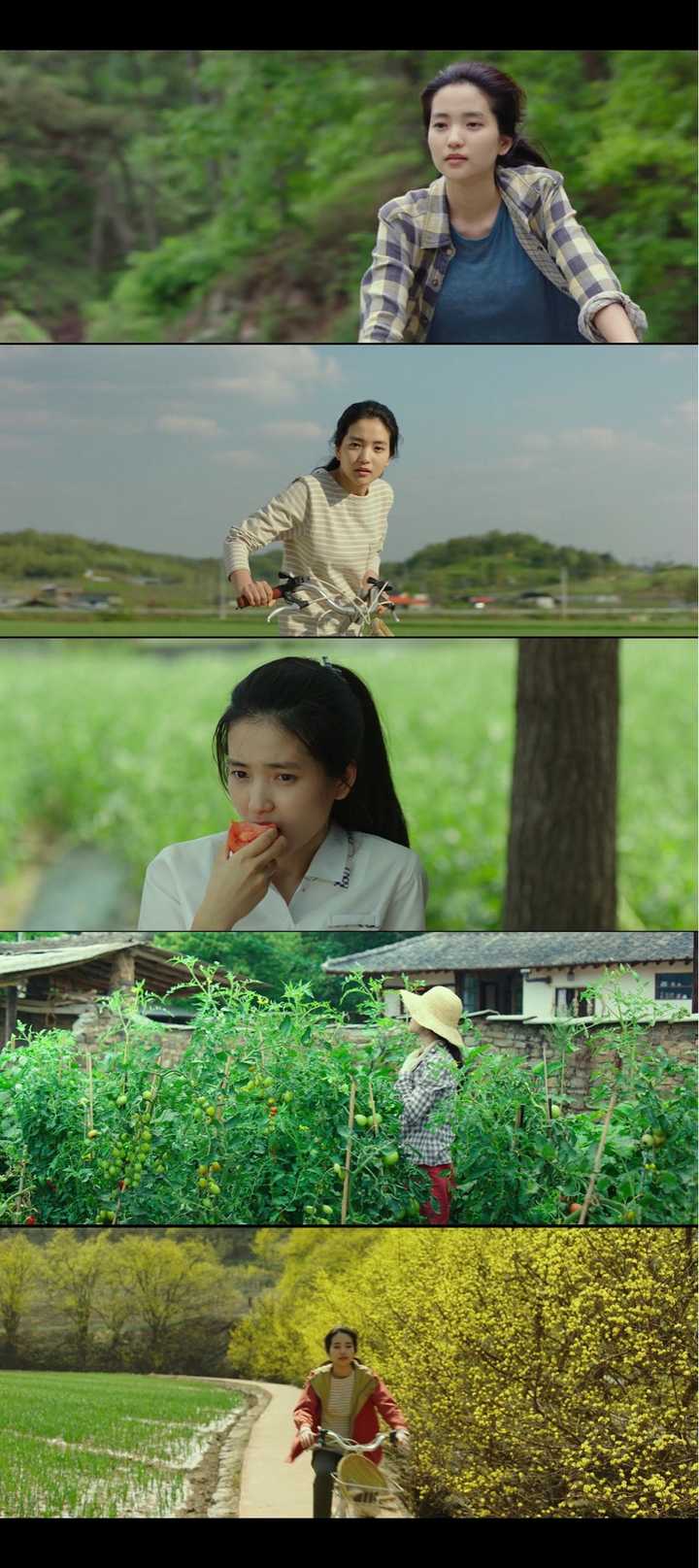 如何评价韩版电影《小森林》?