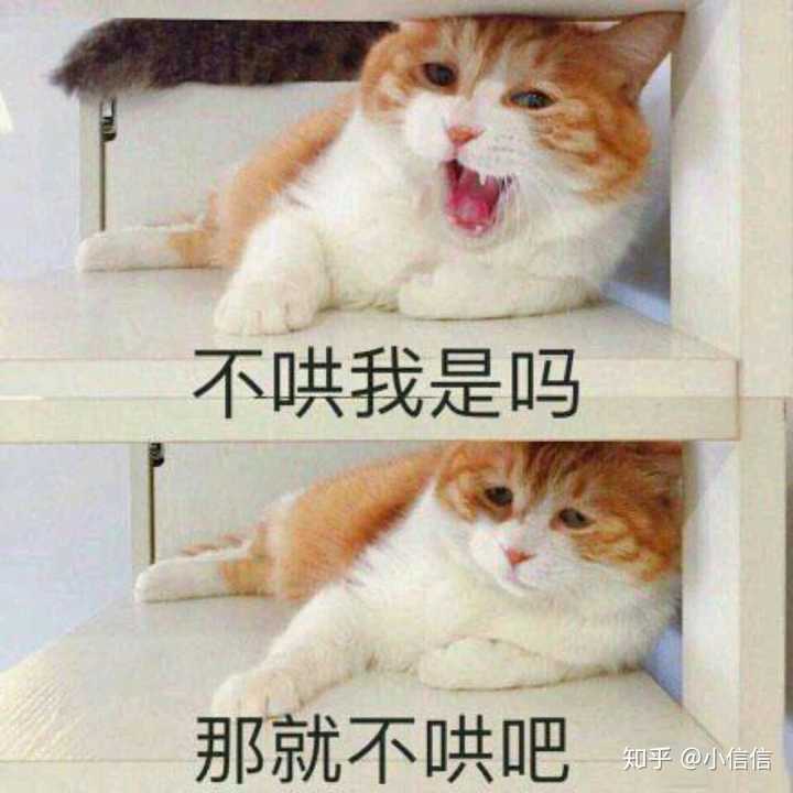 有那些你舍不得删的沙雕表情包?