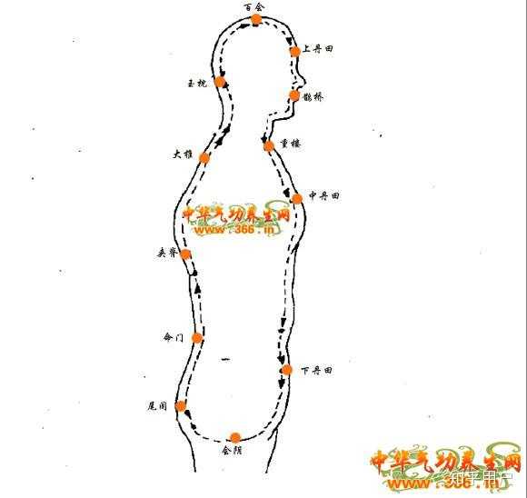 其基本路径为:下丹田-会阴-尾闾-命门-夹脊-大椎-玉枕-命门-上丹田