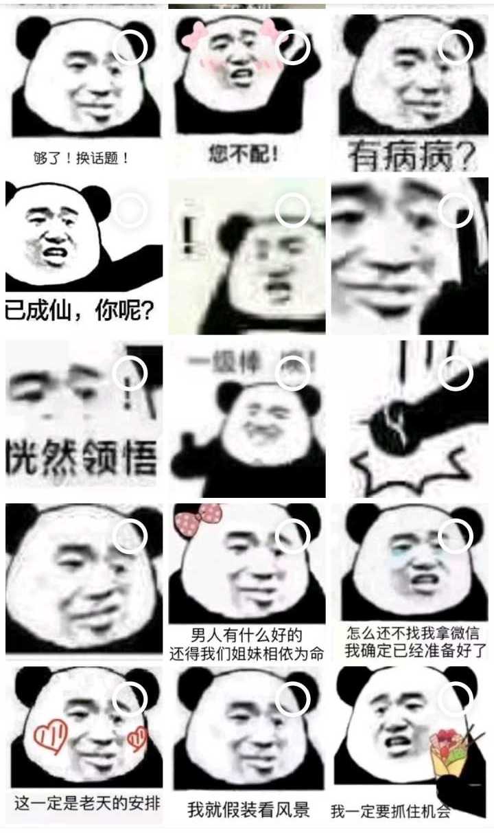 公主熊猫头系列