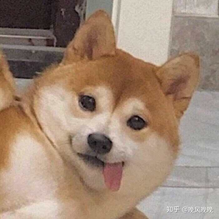 有没有什么适合女孩子的沙雕头像?