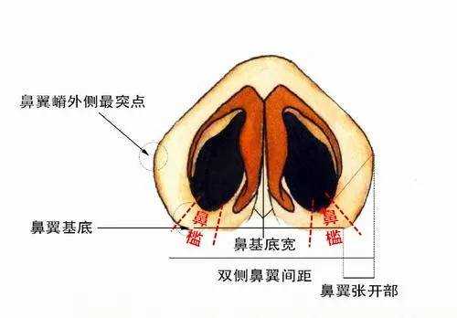 罗勇整形医生 的想法【鼻槛美学 之前在一个