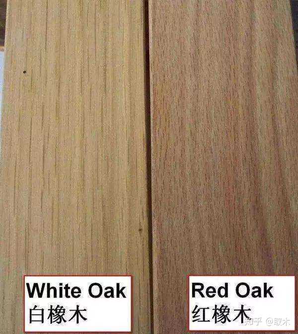 如何分辨是白橡木还是红橡木或者是橡胶木?