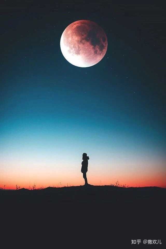 哈哈,感觉满屏都透露着孤独