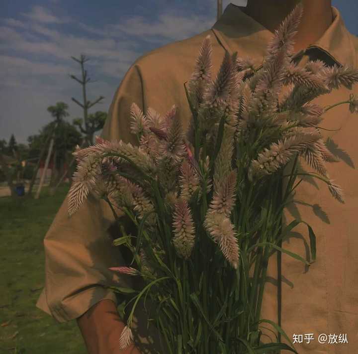 有没有那些好看的男生捧着花的头像?