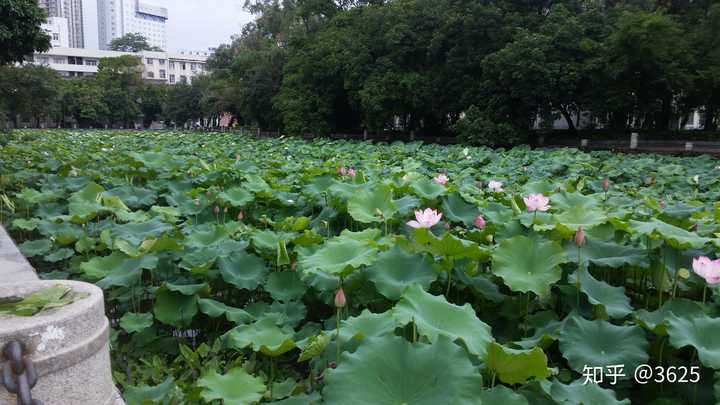 如何评价广西大学?请列出好的与不好的?