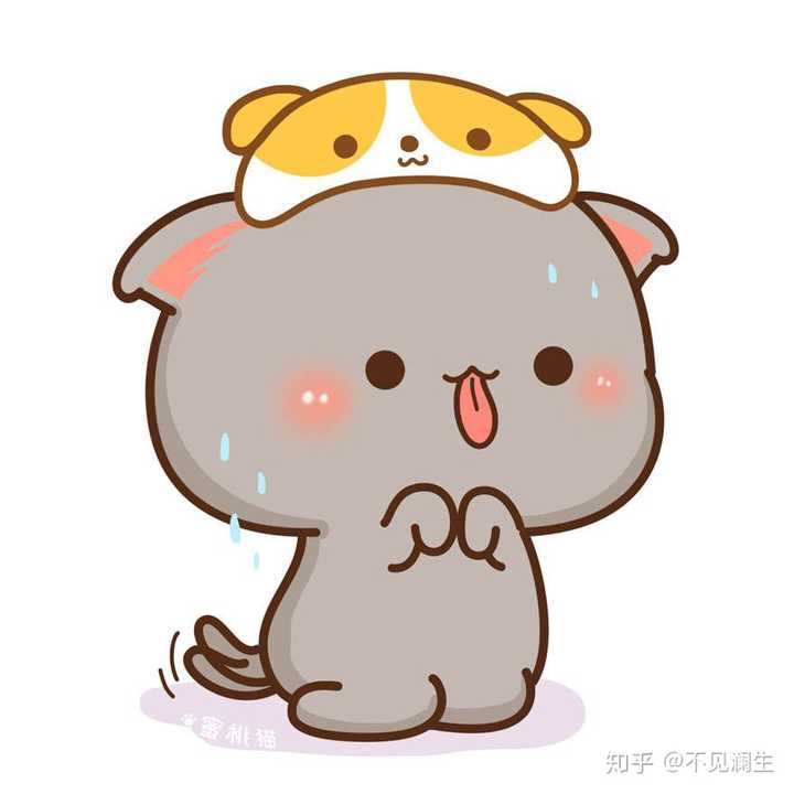 我蜜桃猫和小对象