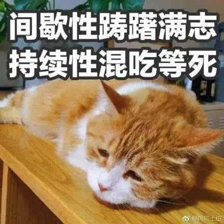 爱用沙雕表情的女孩子就一定沙雕吗?