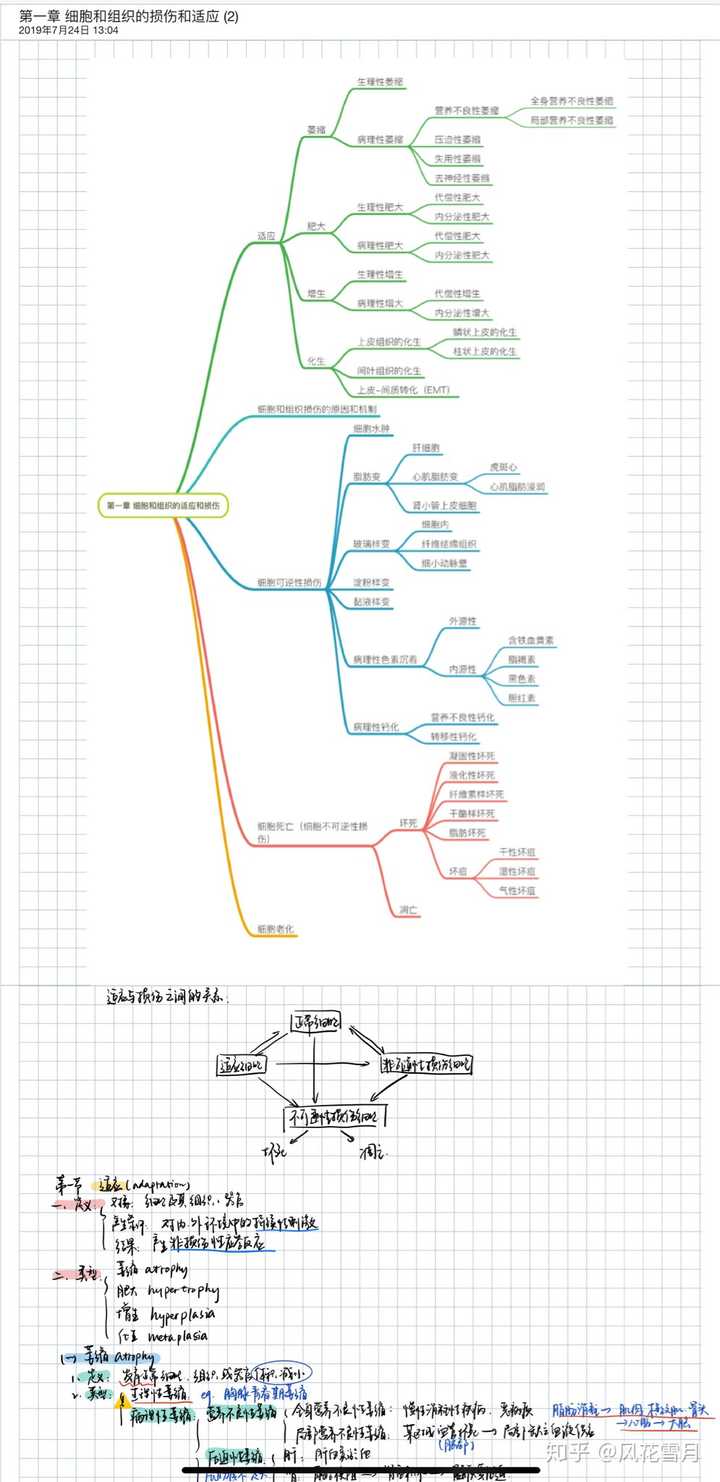 goodnotes notability那个好用呢?