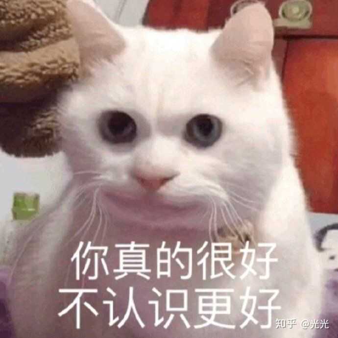 是时候重出江湖了! 猫猫表情包!