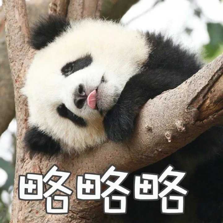 有那些撩男朋友的斗图?