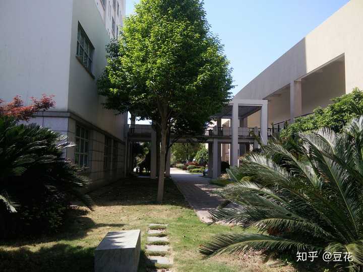 在鄞州高级中学就读是一种怎样的体验?