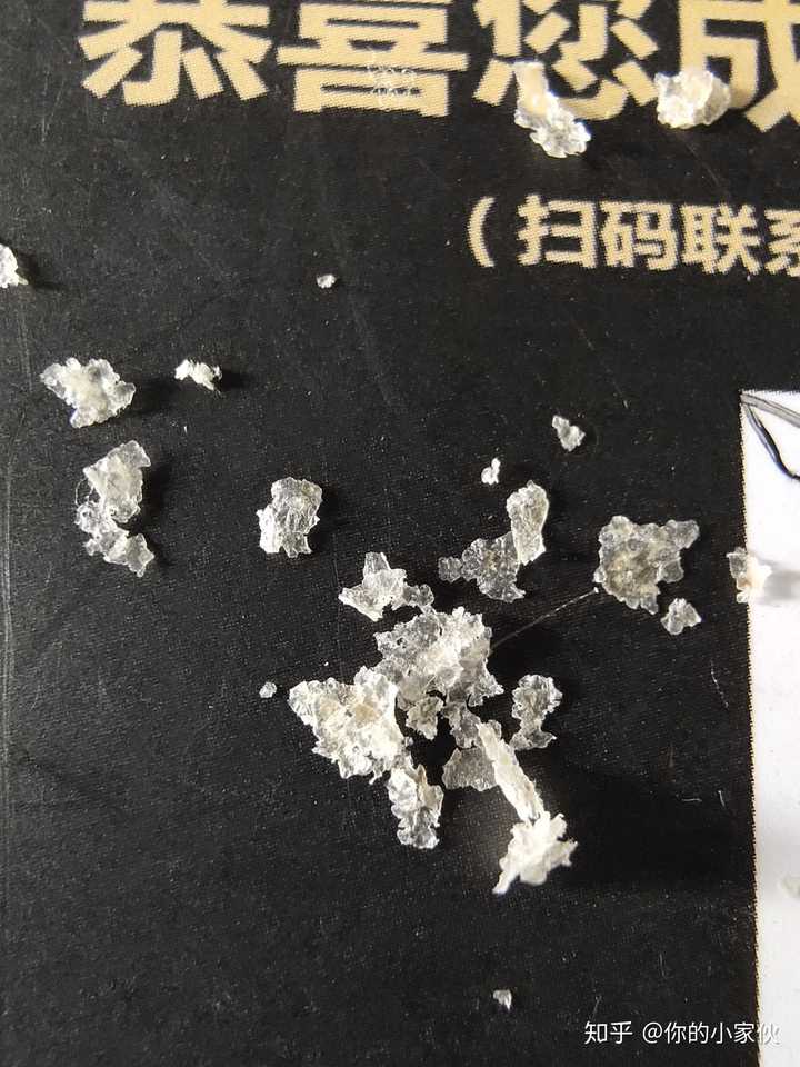 见过的最大头皮屑多大?