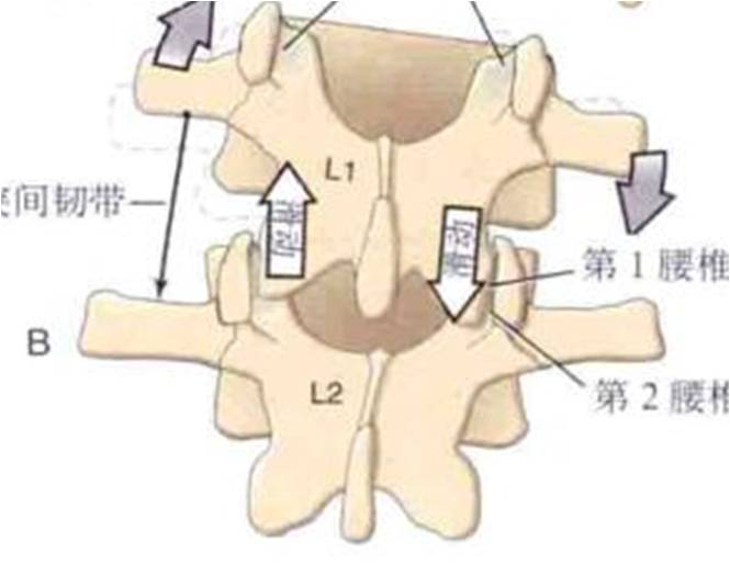 腰椎间盘突出保守治疗康复的原理是什么?