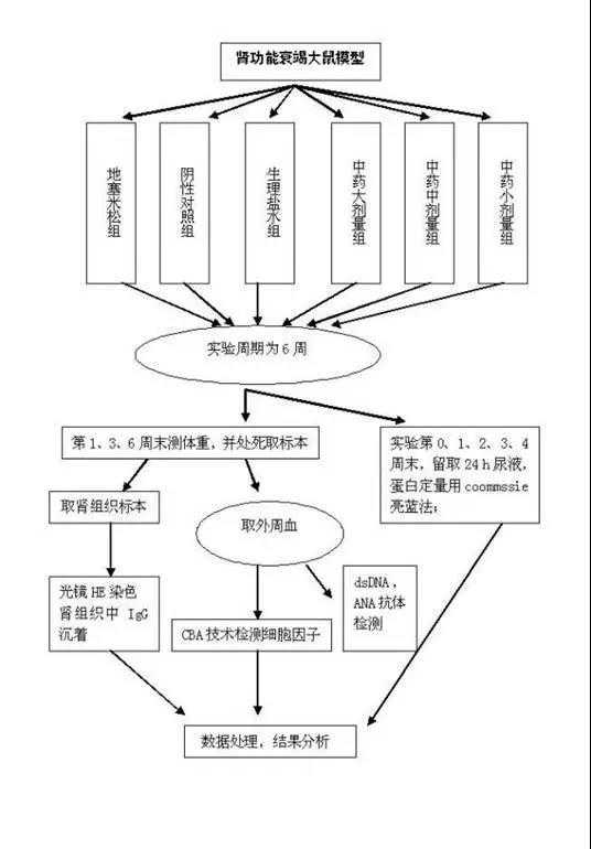 如何画好标书中的技术路线图?