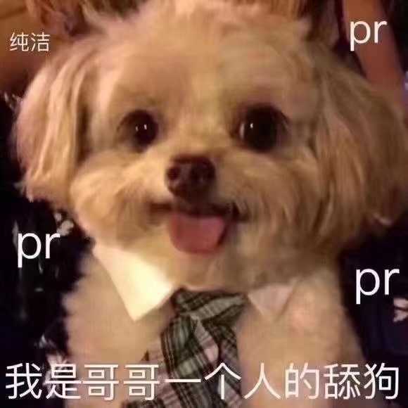 舔狗到底有多么卑微