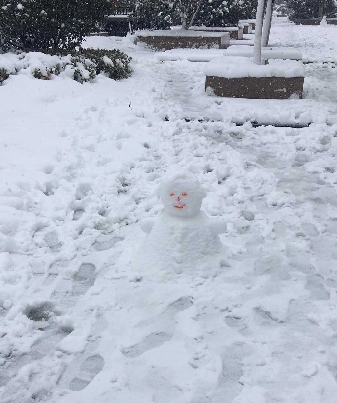 这样的下雪天,一个人在家一天,也不知道干了什么,天就黑了