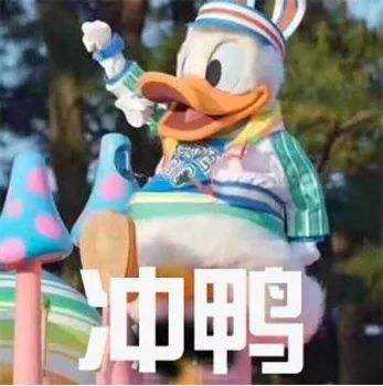 想参加明年(2021)的初级会计考试,零基础现在开始学习