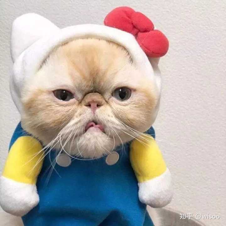 有哪些好看的头像?