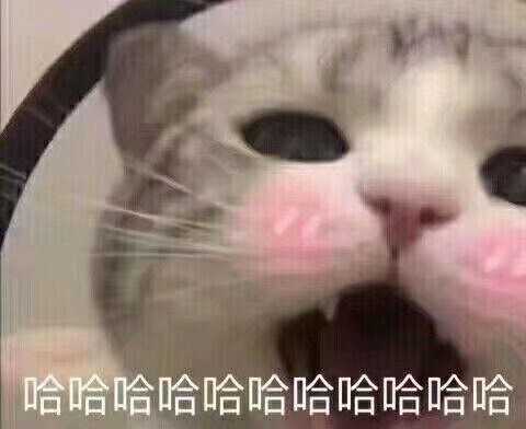 年轻人都喜欢用什么沙雕表情包?