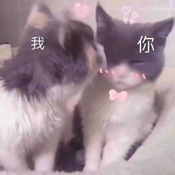有哪些适合情侣间聊天使用的表情包?