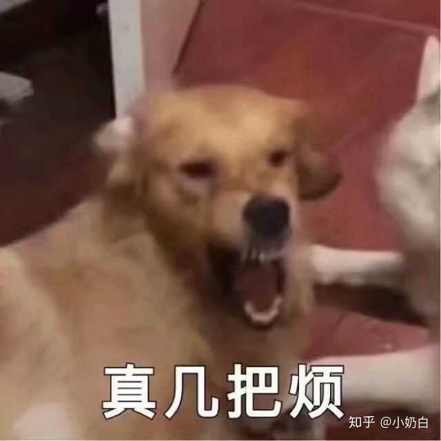 你什么时候会突然觉得恶心的室友很可怜?