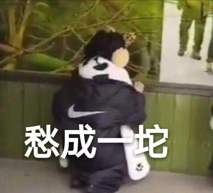 有没有blackpink的沙雕表情包,拿出来大家都乐呵一下?