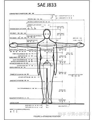 sae j833中对于不同百分位的人体的各部分尺寸都有详细标注