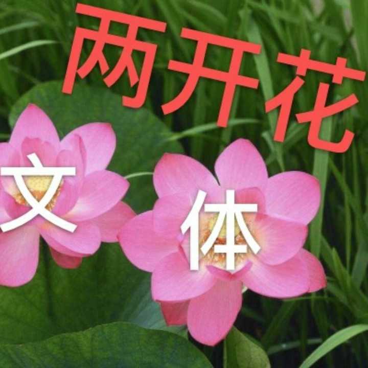 四十几岁的人,应该用什么头像微信?