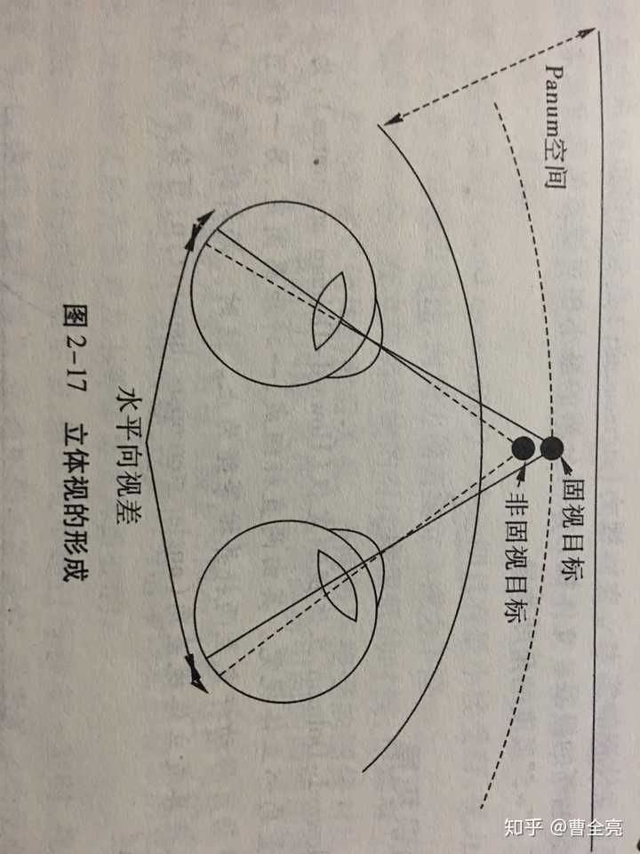 注视前面的球,该球位于视界圆上,这个球分别成像在双眼的中心凹,是一