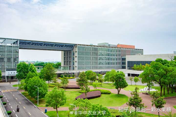 二本新闻学考研,武汉理工大学,华中农业大学,中国地质