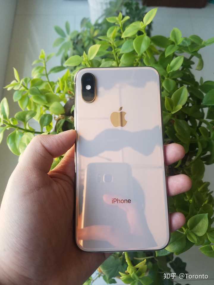 iphonexs哪个颜色好看?