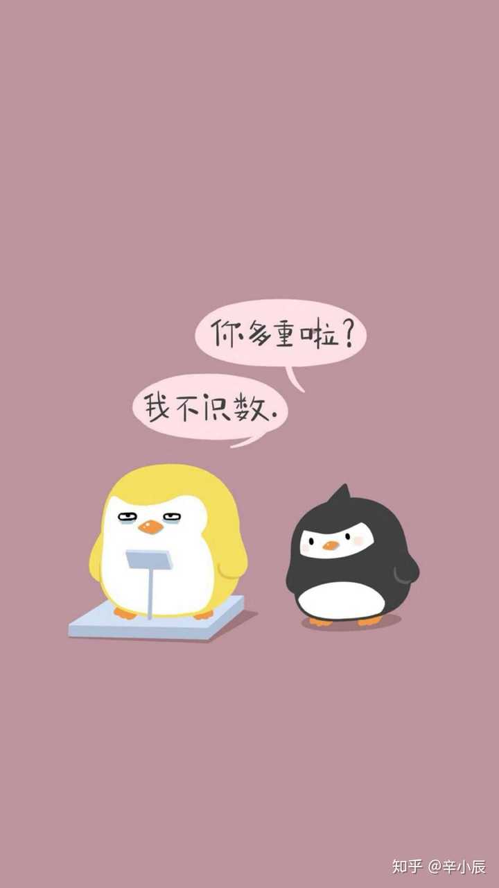 加一张,同一个同志,让我半夜睡醒收到了这个突如其来的打击,这只黄色