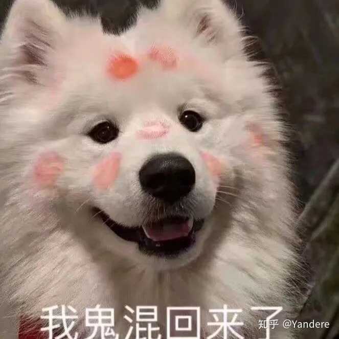 怎么变着花样的叫女朋友起床?