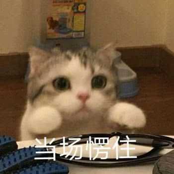 有没有给女朋友发的表情包?