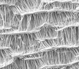 硅胶微孔结构
