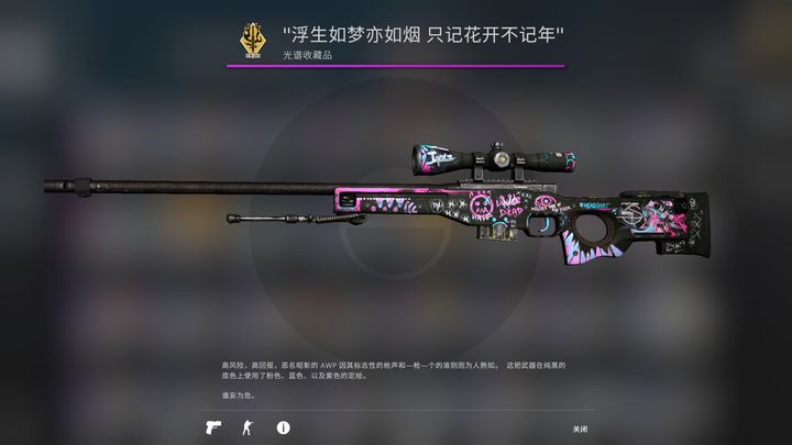 csgo我的awp浮生如梦改个什么名字比较好?