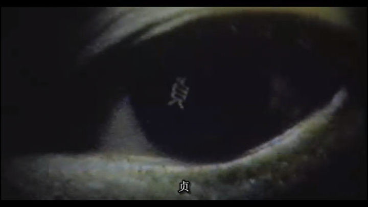 贞子的眼睛,一切都跟她有关 第六幕