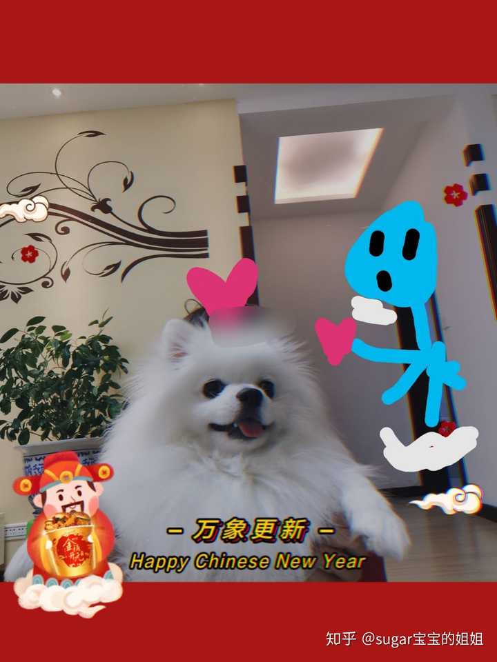 分享一下你的狗狗的可爱照片和小故事好吗?