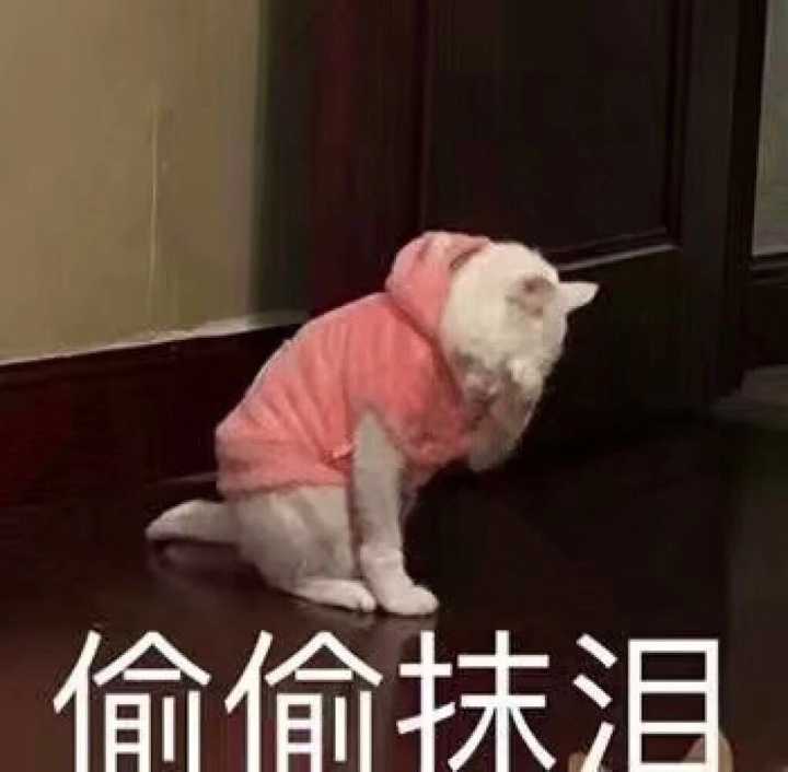 有没有发给男票的沙雕又可爱的表情包?