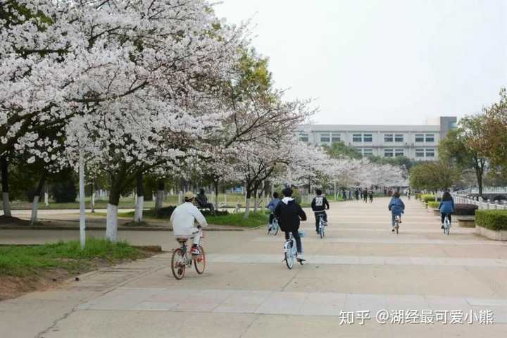 湖北经济学院的校园环境如何