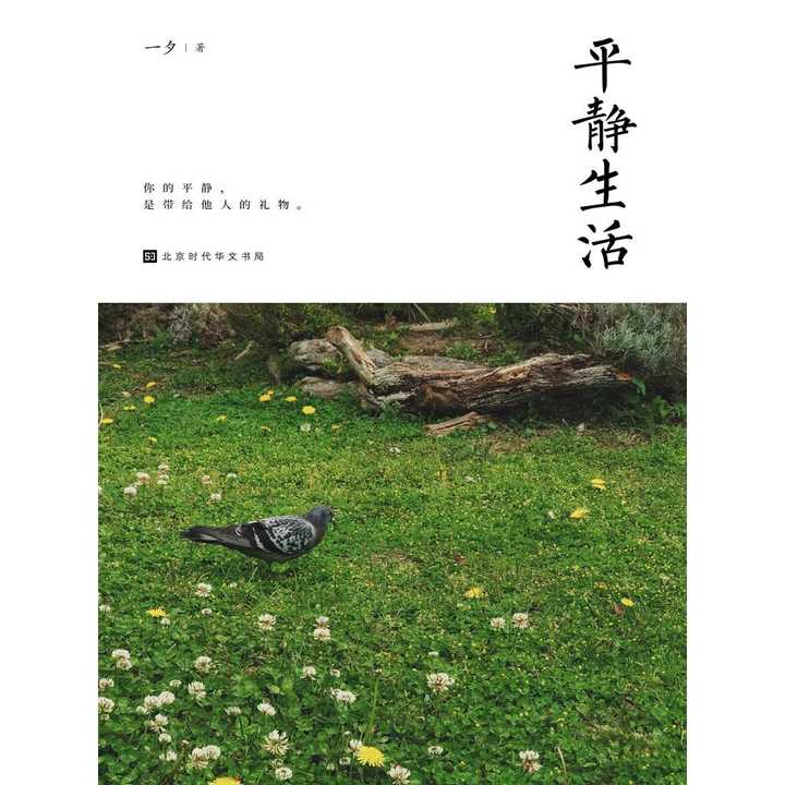 平静生活(书籍)