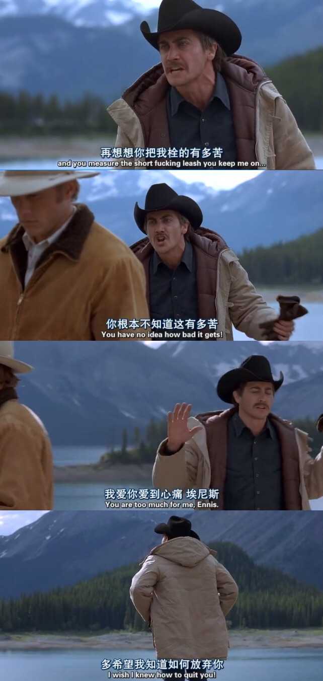 看过断背山后你有什么感触