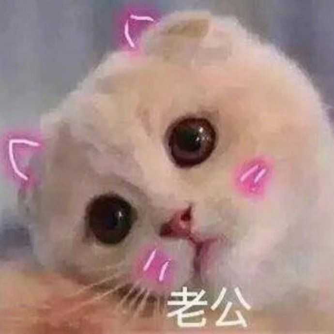 有那种憨憨的情侣头像吗?