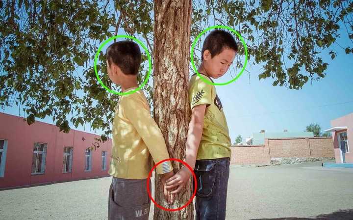 《少生孩子多种树》