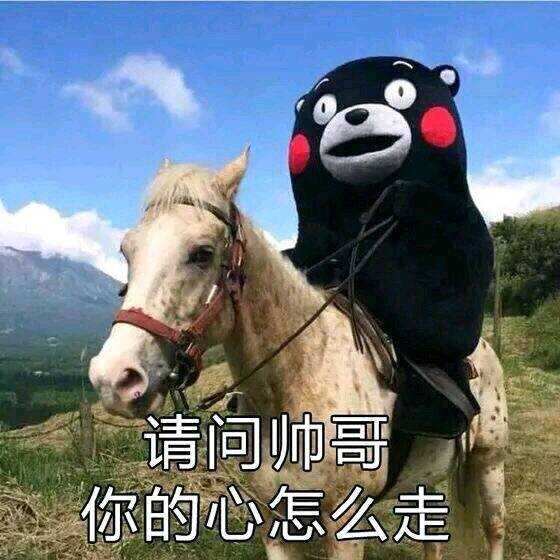 你见到过哪些笑到不行表情包?