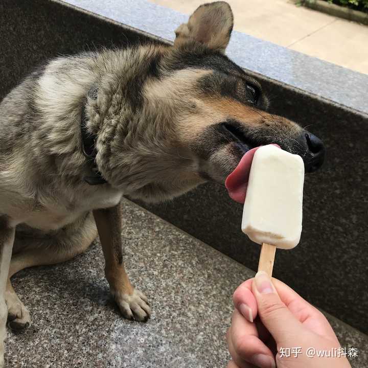 撕布!皮