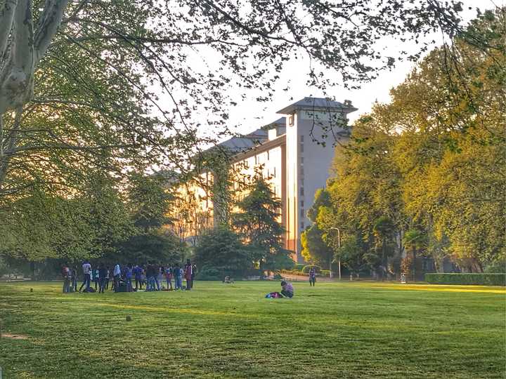 南京农业大学学校环境怎么样?