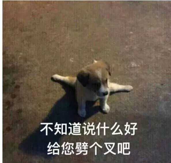 和医生对病人家属说对不起我们已经尽力了 其实是一个意思,真不是夸你
