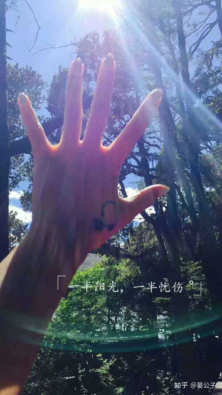 从今往后走马观花不谈感情,一心向前,别无他念